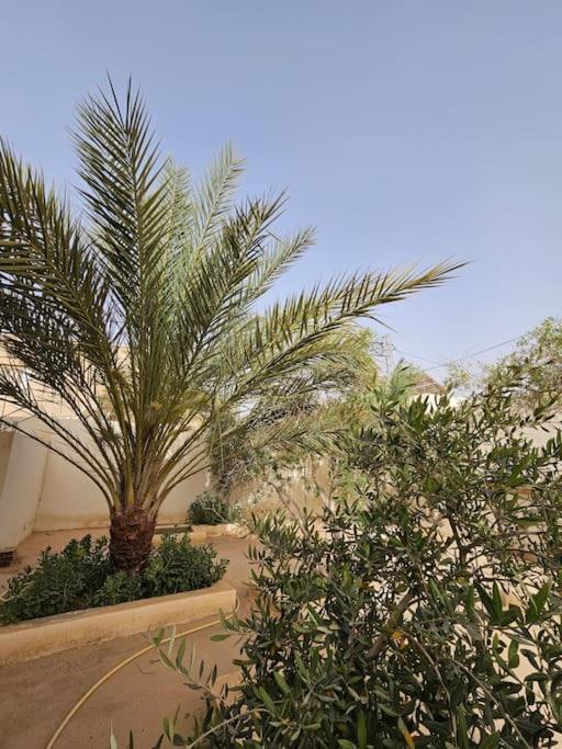 Hadhri Appartement トズル エクステリア 写真
